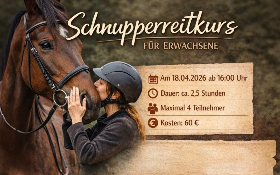 Schnupperreitkurs für Erwachsene am Virthahof